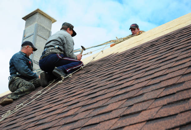 Best Residential Roofing Contractor  in Cutlerville, MI