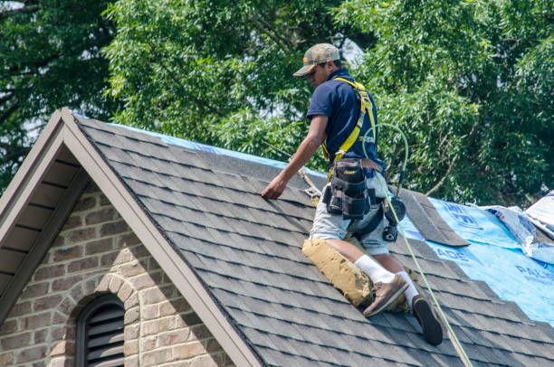Best Roof Gutter Cleaning  in Cutlerville, MI